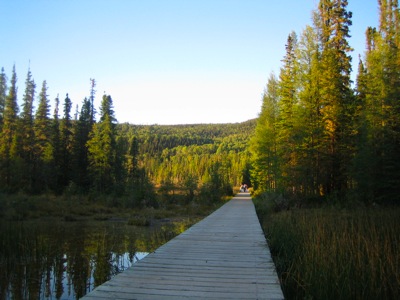 liard boardwalk